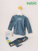 cute giraffe set