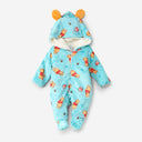 Blue Bear romber