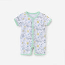 Baby Lion Rempor