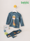 cute giraffe set