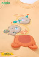 Little Bears Set
