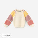 Colorblock Sleeve Knit Sweater