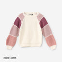 Colorblock Raglan Knit Sweater
