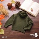 Olive Textured Turtleneck Sweater