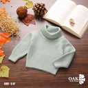 Turtleneck Knit Sweater