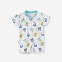 Cotton Rempor
